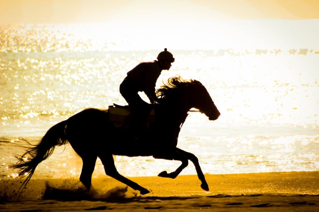 砂場を走る馬